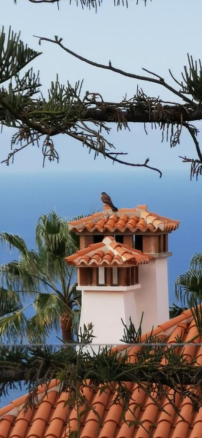 Casa Moja - La Palma Villa Tazacorte Exteriör bild